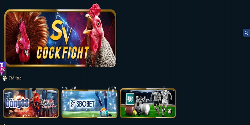 ALO789 nổi bật với hình thức chọi kê đỉnh cao và đẳng cấp