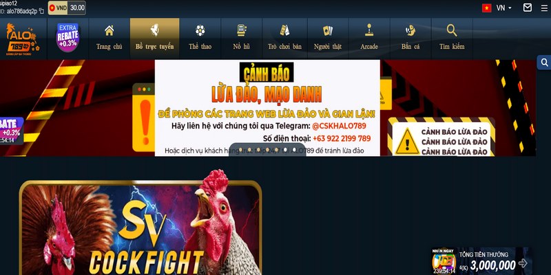 Chương trình khuyến mãi hấp dẫn cho tất cả thành viên tham gia